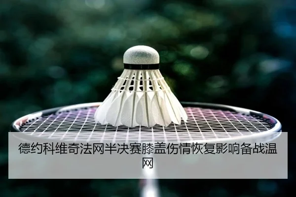 de-yue-ke-wei-qi-fa-wang-ban-jue-sai-xi-gai-shang-qing-hui-fu-ying-xiang-bei-zhan-wen-wang-2-568.jpg