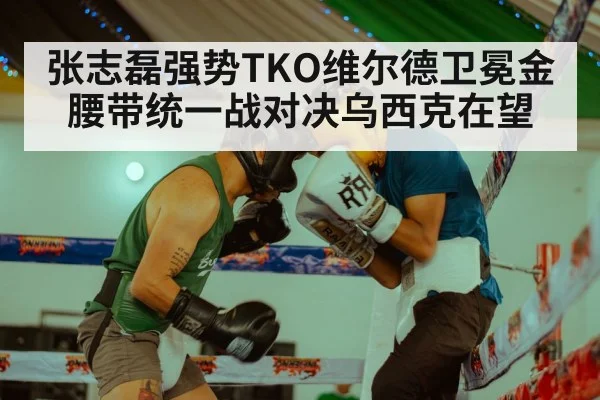 张志磊强势TKO维尔德卫冕金腰带统一战对决乌西克在望
